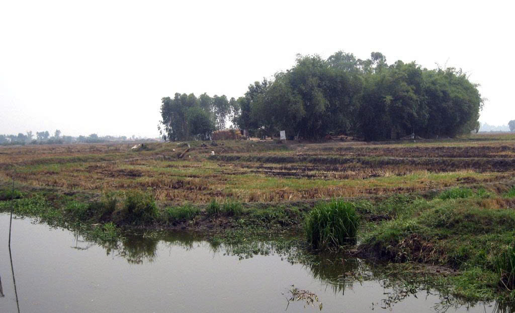 Di tích khảo cổ học Gò Duối