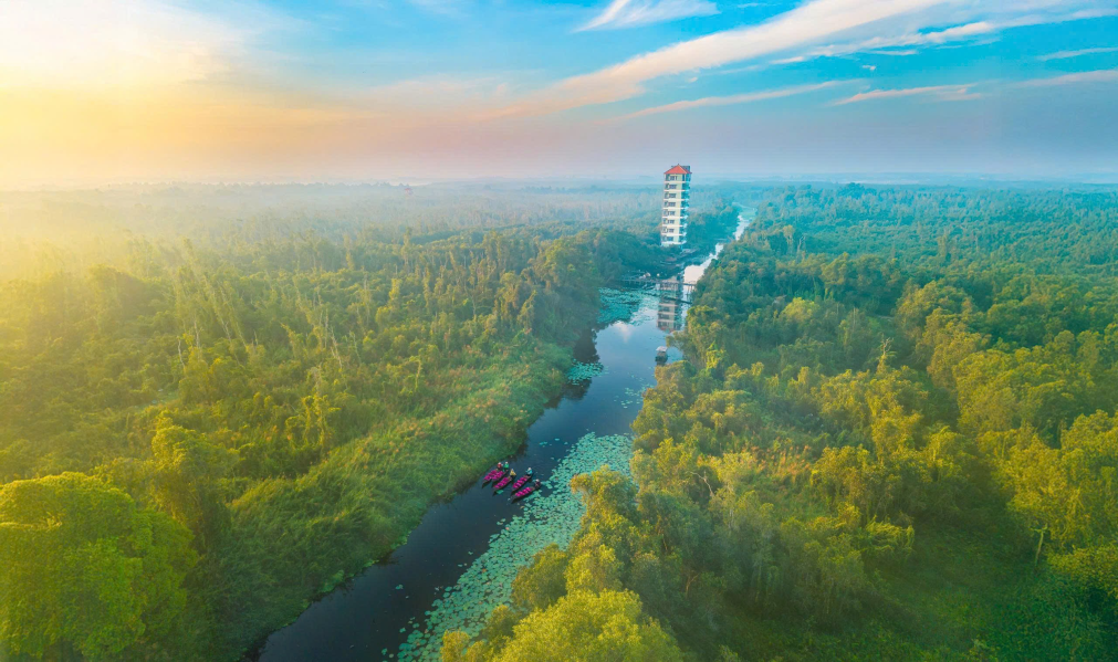 Đến Tây Ninh ghé thăm Làng nổi Tân Lập – khu du lịch sinh thái giữa rừng tràm xanh mướt