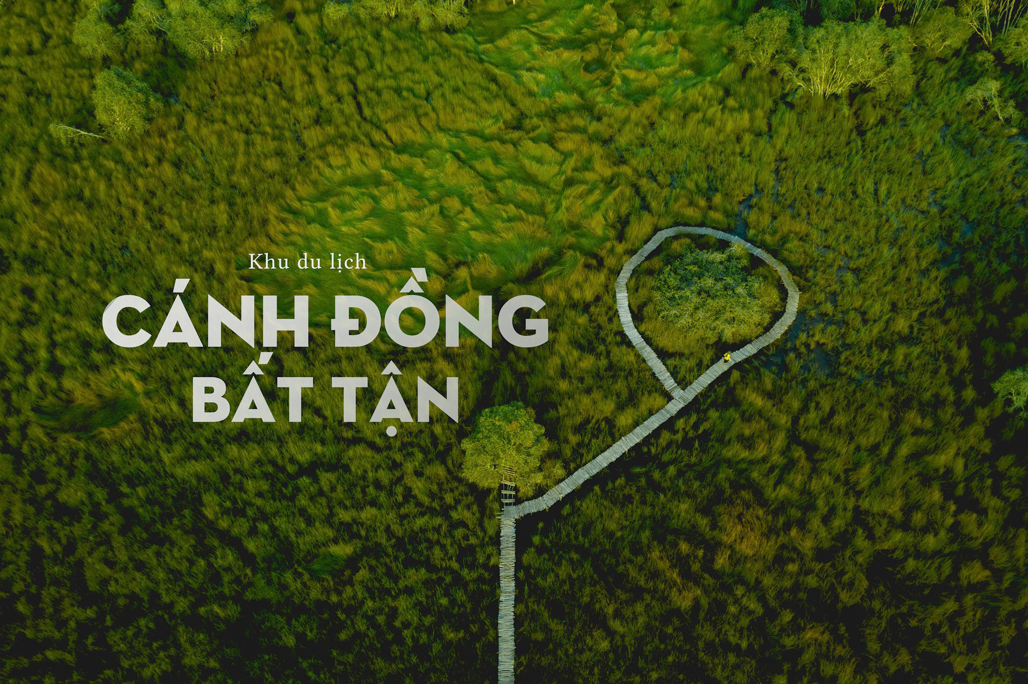 Trung tâm Nghiên cứu Bảo tồn và Phát triển Dược liệu Đồng Tháp Mười